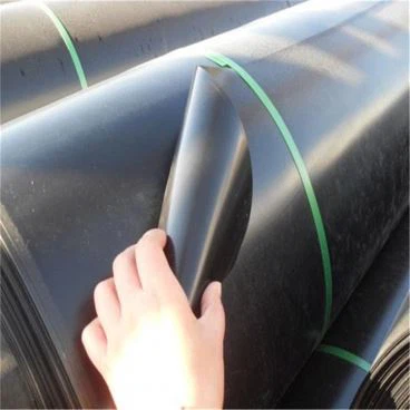 LDPE غشاء أرضي